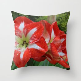 red and white Throw Pillow