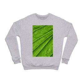 Macro Green leaf 6 Crewneck Sweatshirt