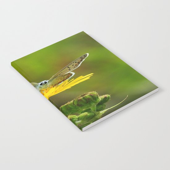 ART Notebook
