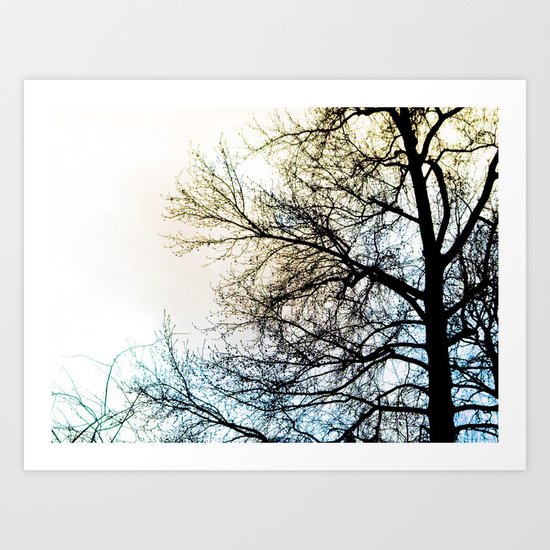 Ombre chinoise Art Print