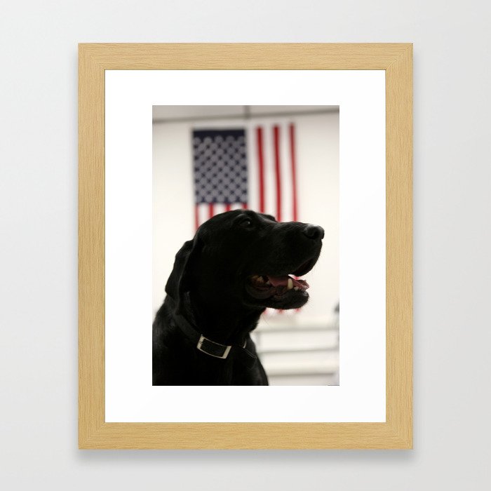 All-American Black Labrador Framed Art Print