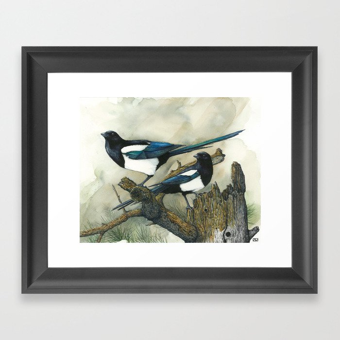 Magpies Framed Art Print