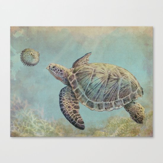 A Curious Friend (sea turtle variation) Canvas Print