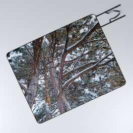 Snowy Trees Under the Sky Picnic Blanket