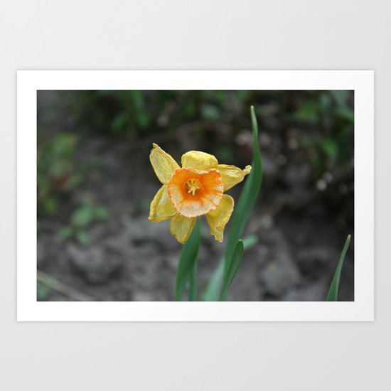 The Month Of April Art Print