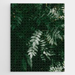 PNW Forest Ferns | Nature Photography Jigsaw Puzzle