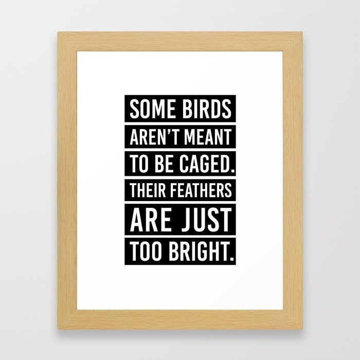 Bird Feathers Quote Framed Art Print