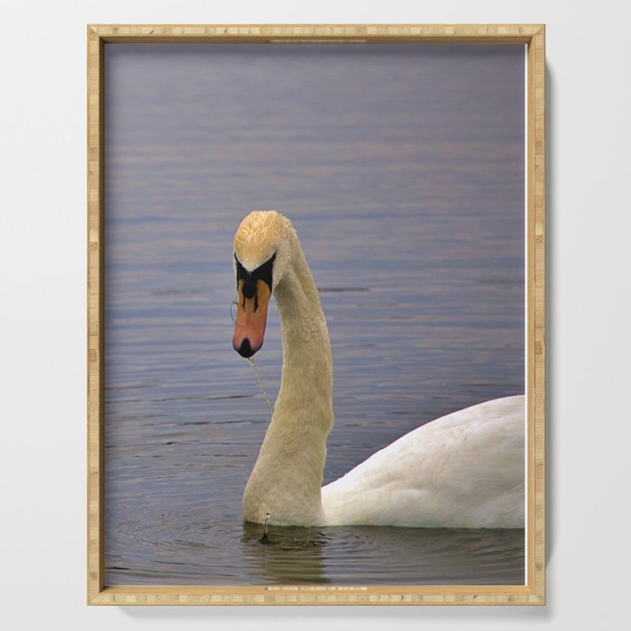 Swan on the Lake Serving Tray
