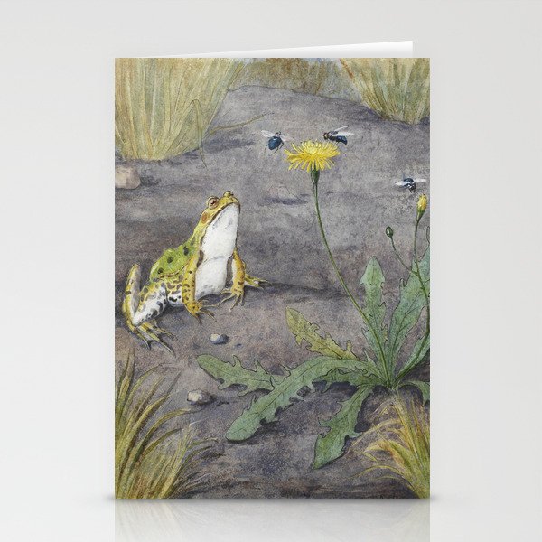 Frog by a Dandelion with Flies  Stationery Cards