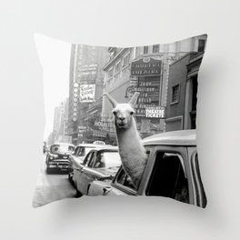 Multicolor Lama und Alpaca Giftidea Men Women Kids Funny White lama Alpaca at Sunset on The Beach Throw Pillow 16x16 Multicolor Lama und Alpaca Giftidea Men Women Kids Funny White lama Alpaca at Sunset on The Beach Throw Pillow 16x16