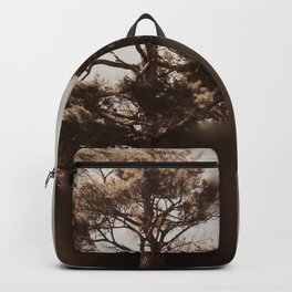 Misty Tree of Life on the Coastal Edge Backpack