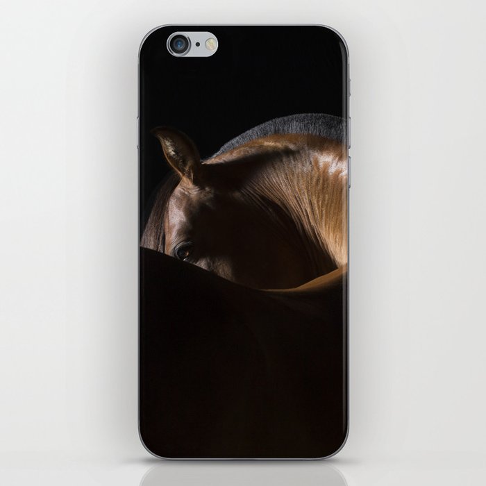 Horse Fine Art iPhone Skin