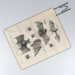Vintage Bat Diagram Picnic Blanket