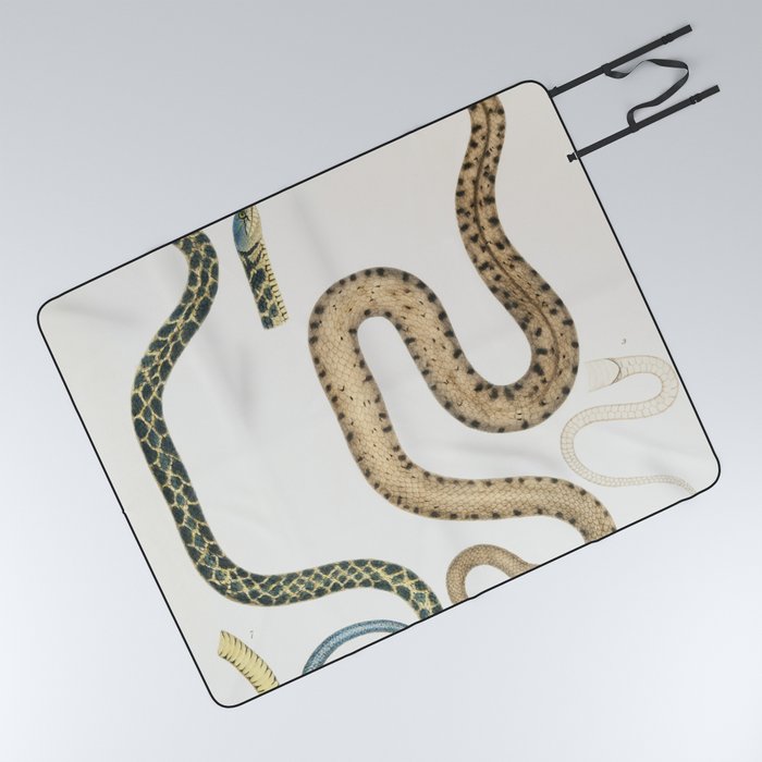Bengal & Lozenge Snakes Picnic Blanket