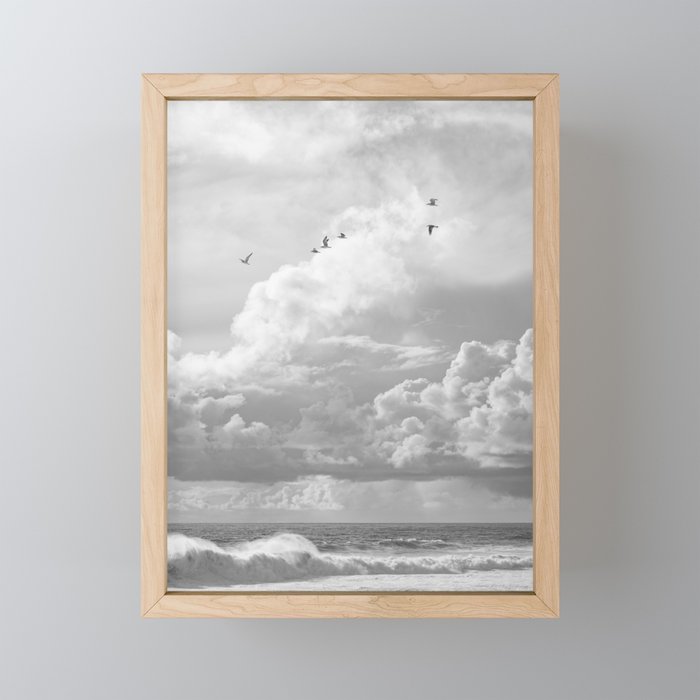 Seagulls in Nazaré Photo | Black and White Travel Photography in Portugal | Clouds and Waves Nature Art Print Framed Mini Art Print