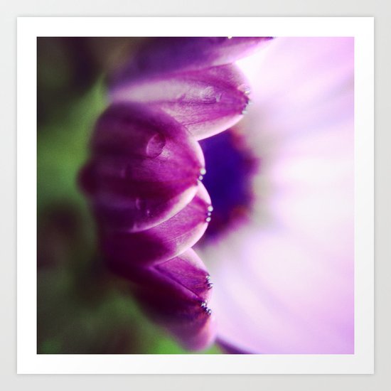 Purple Dome Art Print