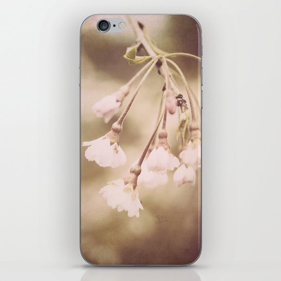 Delicate Spring iPhone & iPod Skin