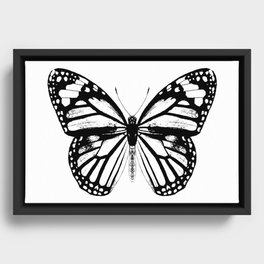 Monarch Butterfly | Vintage Butterfly | Black and White | Framed Canvas