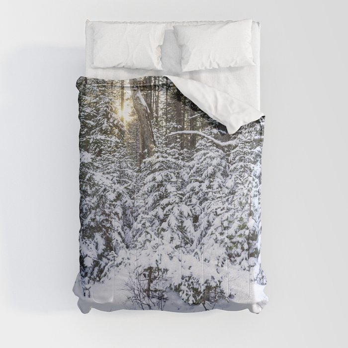 winter woods Comforter