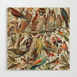 Adolphe Millot - Oiseaux espèces utiles 02 - French vintage ornithology poster Wood Wall Art