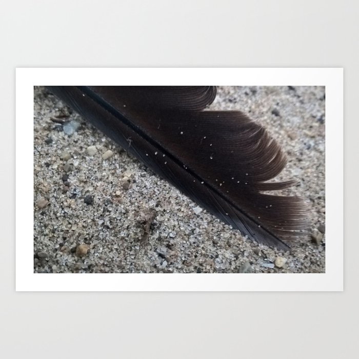 Feather On The Beach Art Print