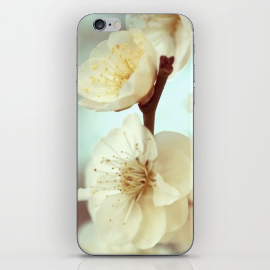 Flourish iPhone & iPod Skin