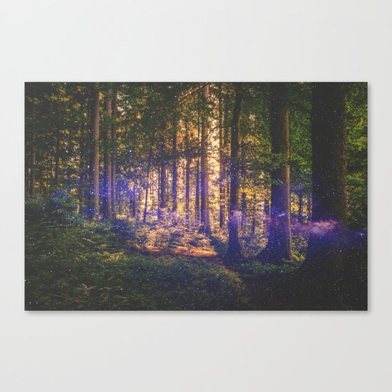 Forest of Dreams Canvas Print
