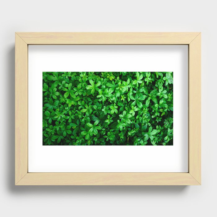 Bright green grass Recessed Framed Print
