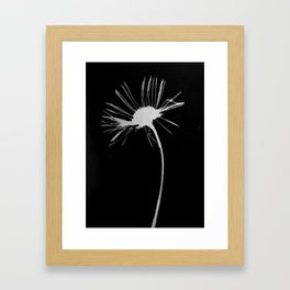 Flower Photogram Framed Art Print