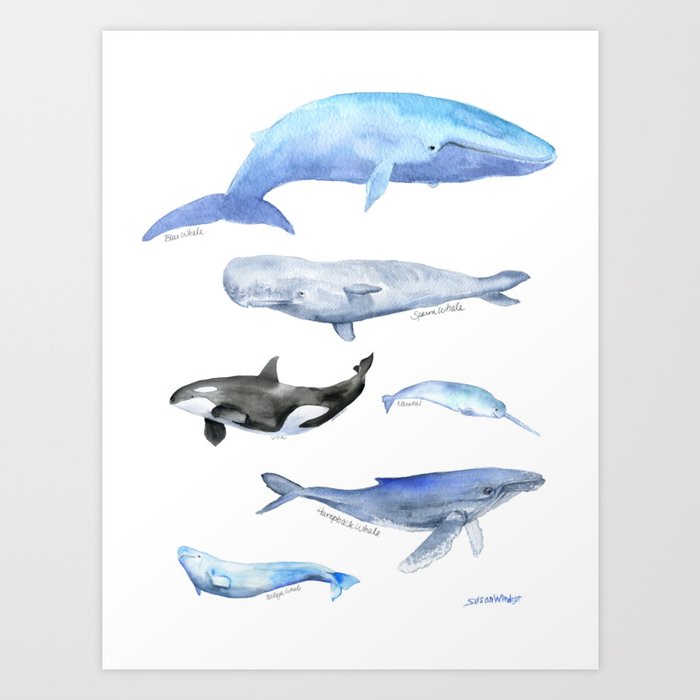 Art Print