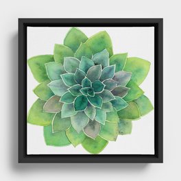 Simply Succulent Framed Canvas