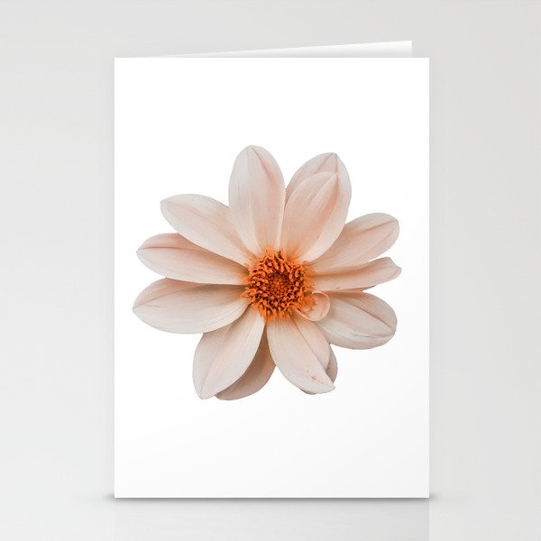 Boho retro light pastel orange single Cosmos  flower blossom Stationery Cards