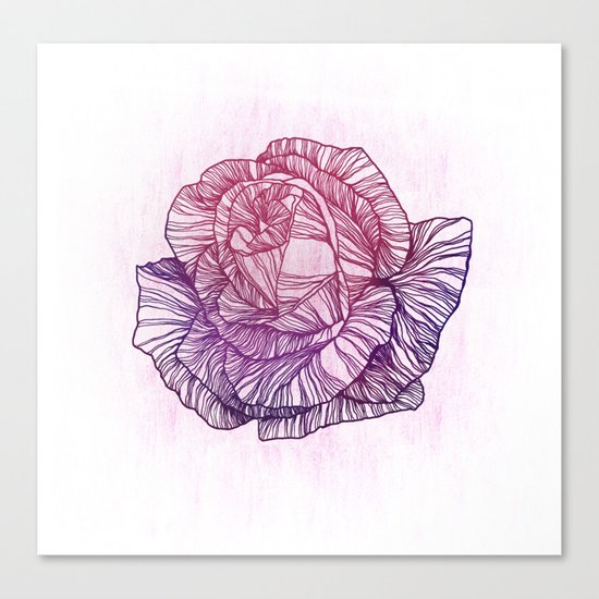 Purple rose Canvas Print
