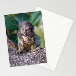 Brazil Photography - Monkey Eating On A Branch Stationery Card