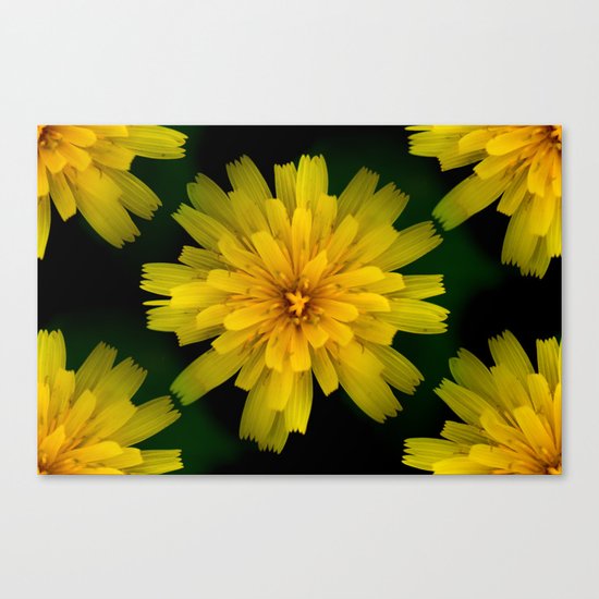 Yellow Natural Flowers On Black Background Canvas Print