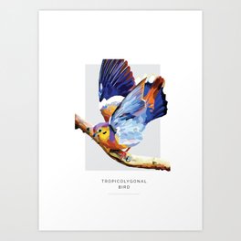 Tropicolygonal Bird Art Print | Tropical, Wildlife, Pattern, Nature, Polygonal, Bird, Paradise, Graphicdesign, Colourful, Illustration 