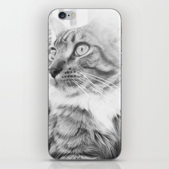 Chi iPhone & iPod Skin