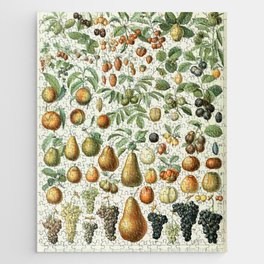 Vintage Fruit Poster 2 - Adolphe Millot Jigsaw Puzzle