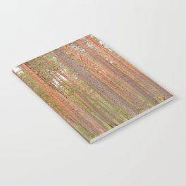 Slender tree trunks of a pine forest Notebook