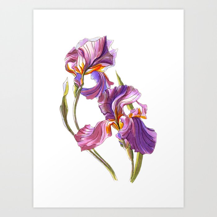 Irise Art Print