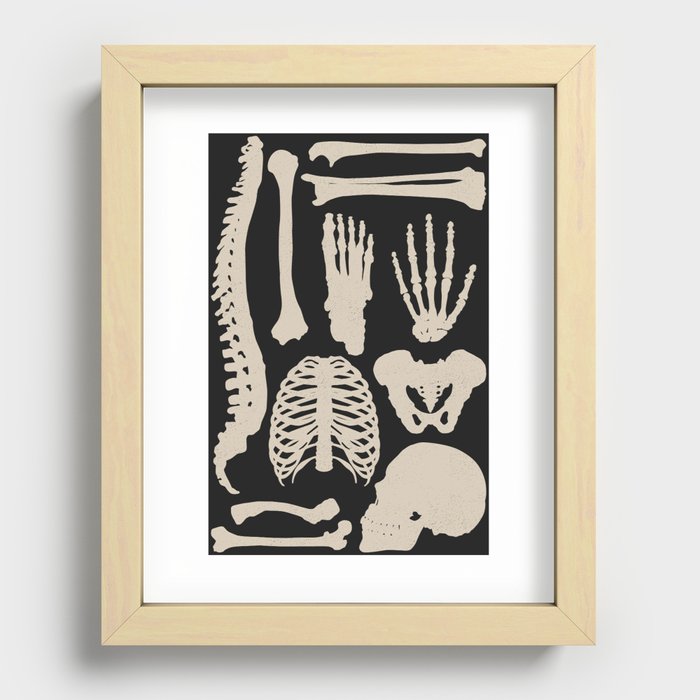 Osteology Recessed Framed Print