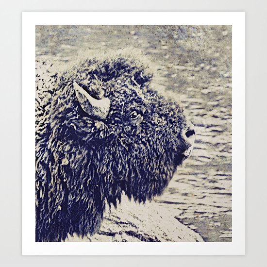 Bison Art Print
