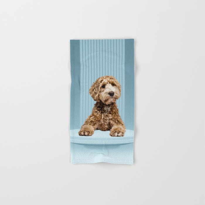 Goldendoodle Laying on Minimal Pastel Blue Podium Hand & Bath Towel