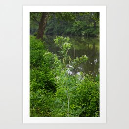 Running Wild Art Print | Wild, Michialeschneider, Photo, Nature, Green, Weed 
