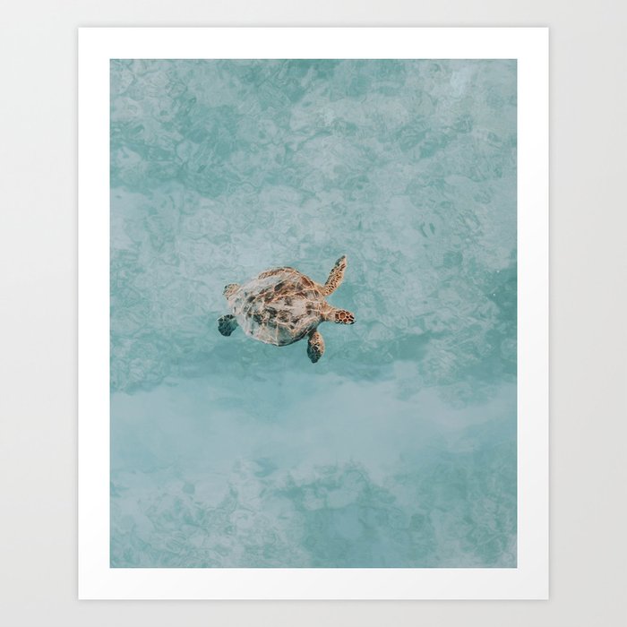 sea turtle vi Art Print