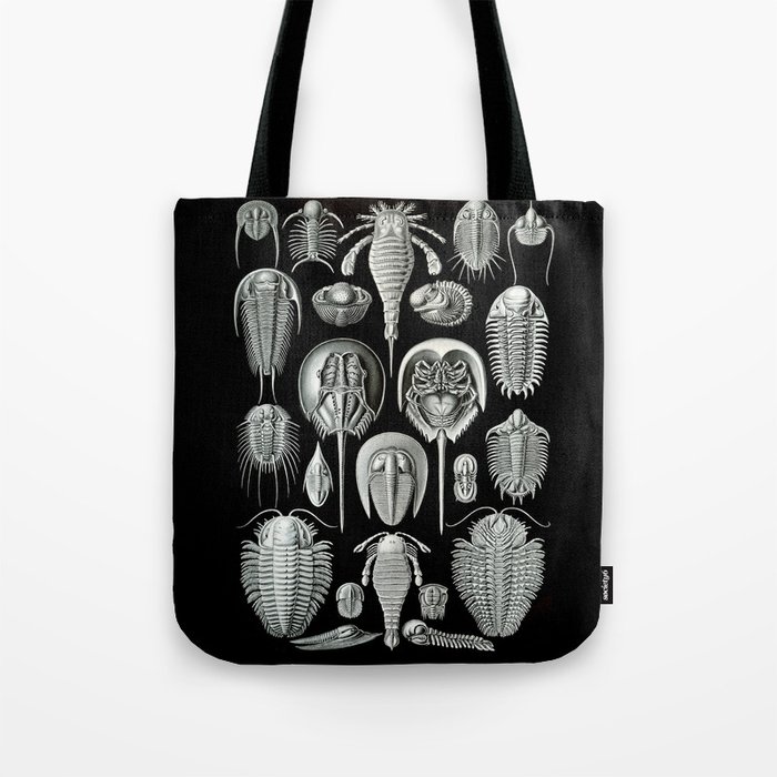 Trilobites and Fossils by Ernst Haeckel Tote Bag