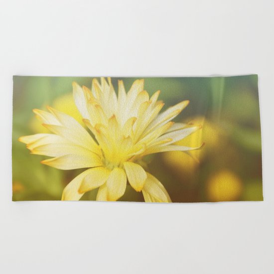 Dreamy yellow wild flower Beach Towel