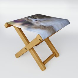 Thai cat Folding Stool