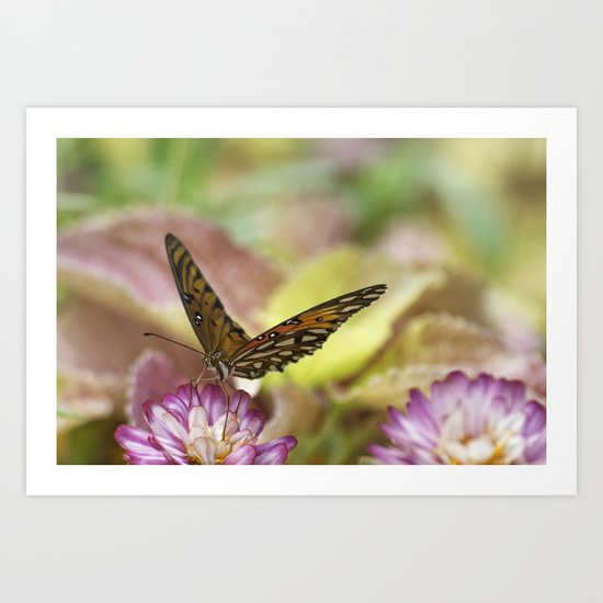 Season's First Art Print