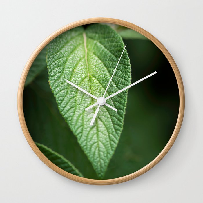 Textured Sage Leaf Wall Clock